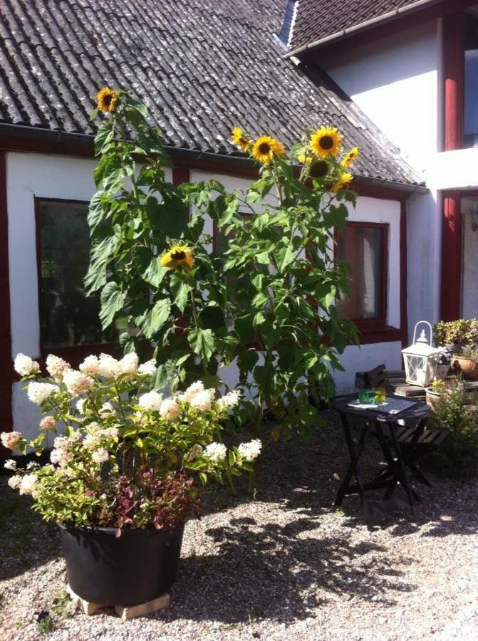 Bed and Breakfast Praestogaard Экстерьер фото